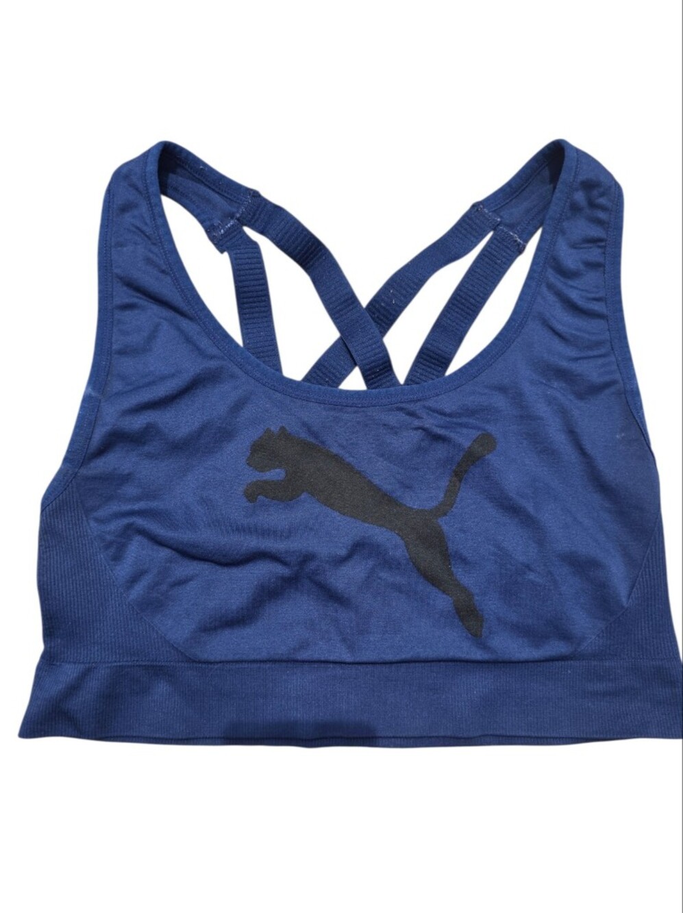 Puma Royal Blue Logo Pullover